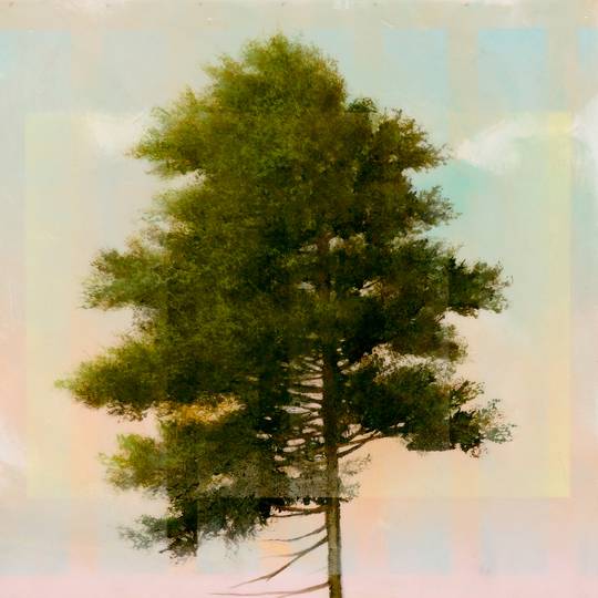 PINE 1, 2016