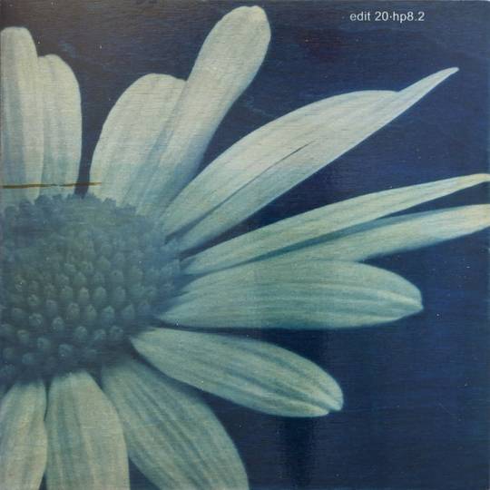 FLOWER PROOF SERIES II: #4, 2013