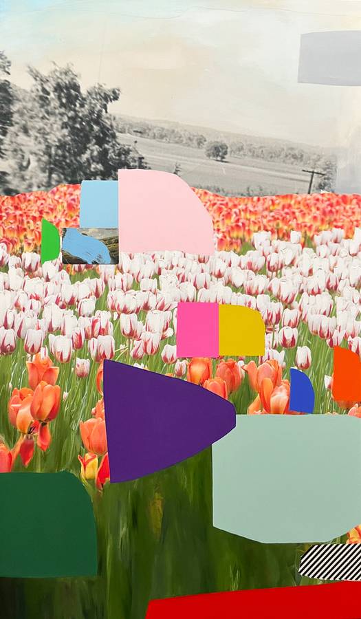 Tulips I, 2023