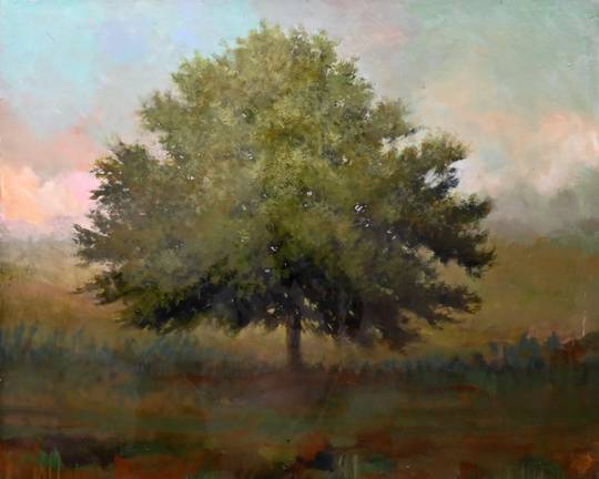 Pasture Elm, 2023