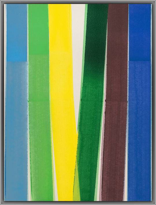 Dividing Colour, 2024