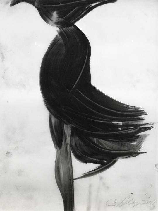 Untitled (PD477), 2017
