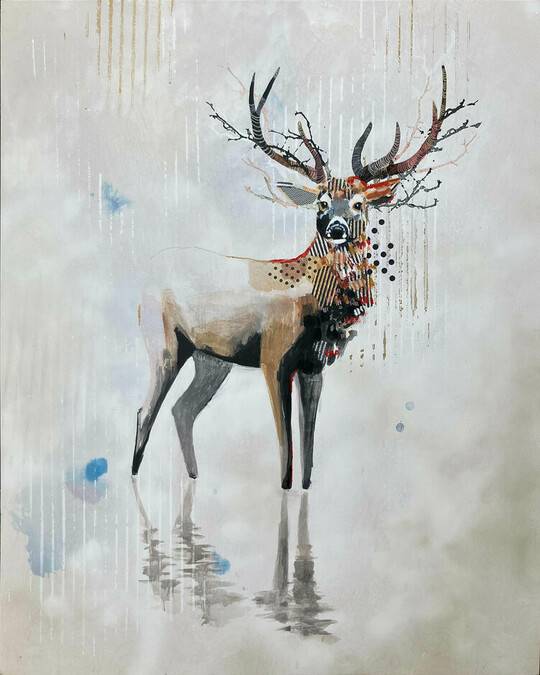 Mule Deer - West, 2024