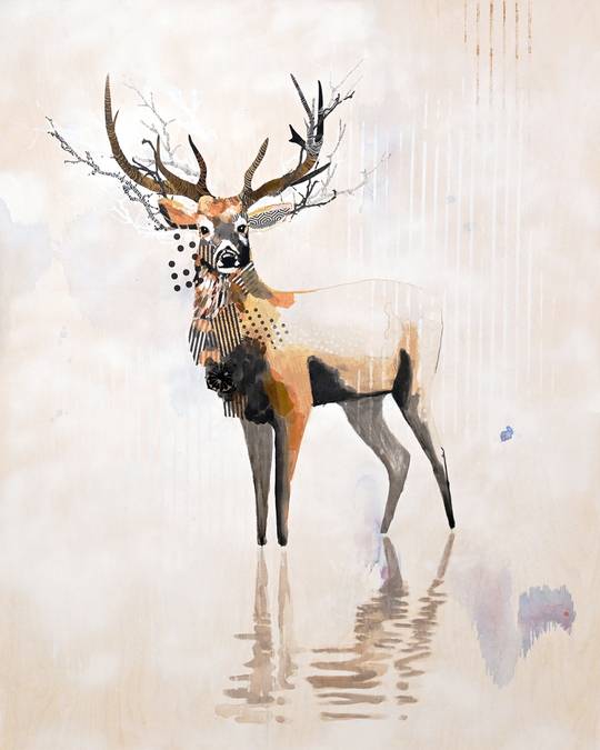 MULE DEER - EAST, 2024