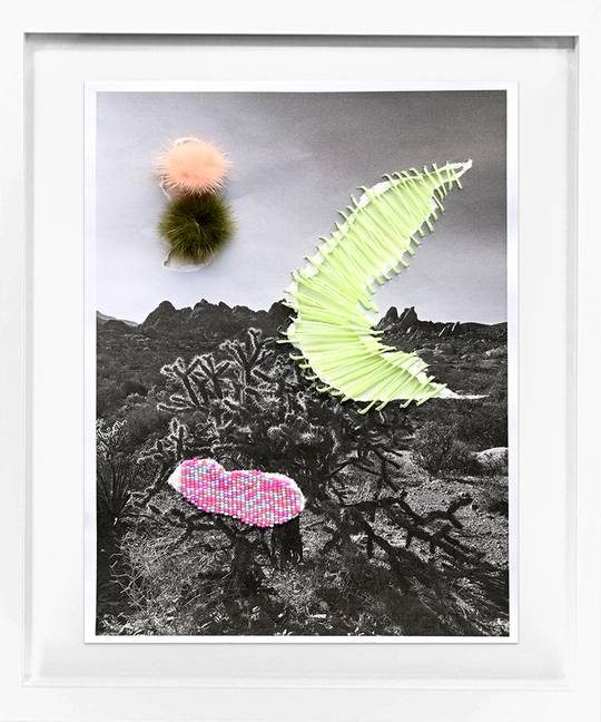 Joshua Tree, 2026
