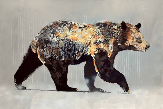 Grizzly Profile - Grey, 2026