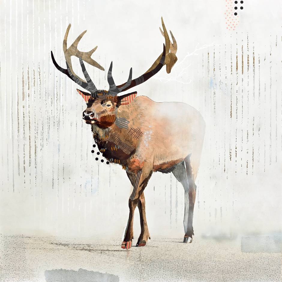 Elk Road - White, 2026