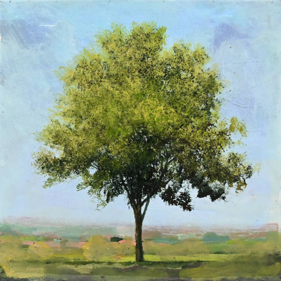 Eastern Elm, 2026