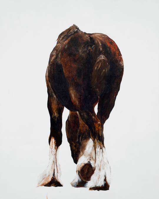 BEST FOOT FORWARD, 2016