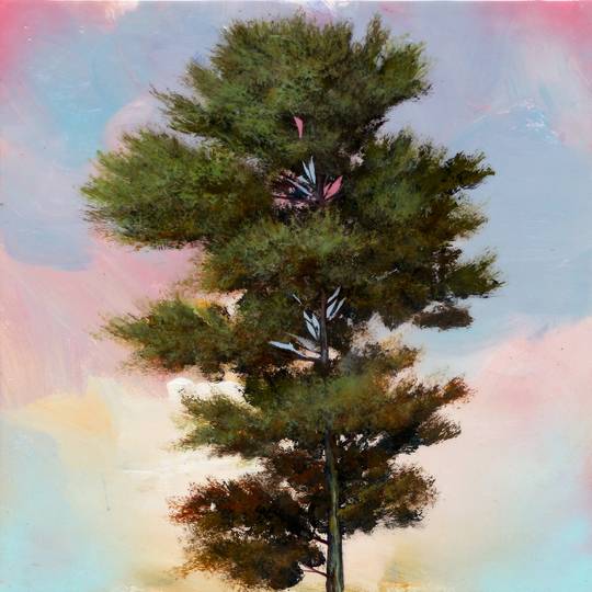 NEW KOLN, 2016