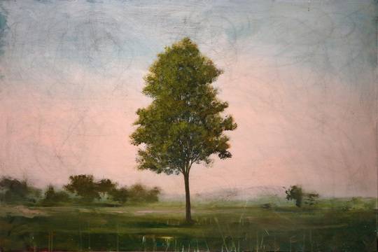LINDEN TREE, 2019