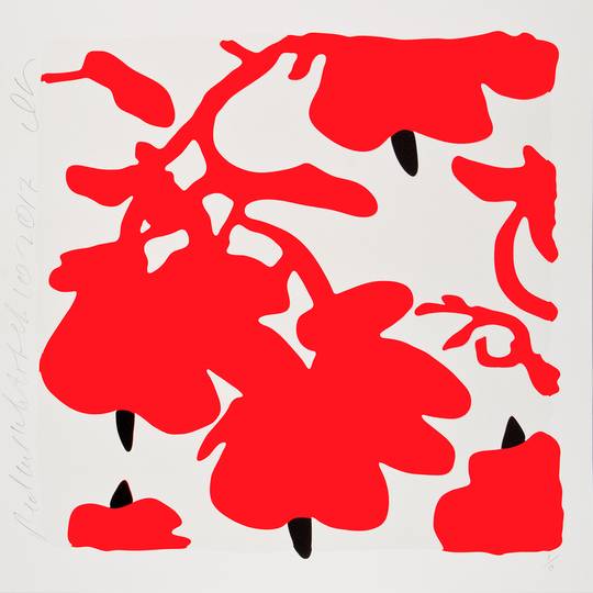 LANTERN FLOWERS RED + WHITE, FEB 10, 2017, ED. 15/50, 2017
