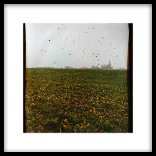 FLANDERS FIELDS BELGIUM,  ED. 1/1, 2014