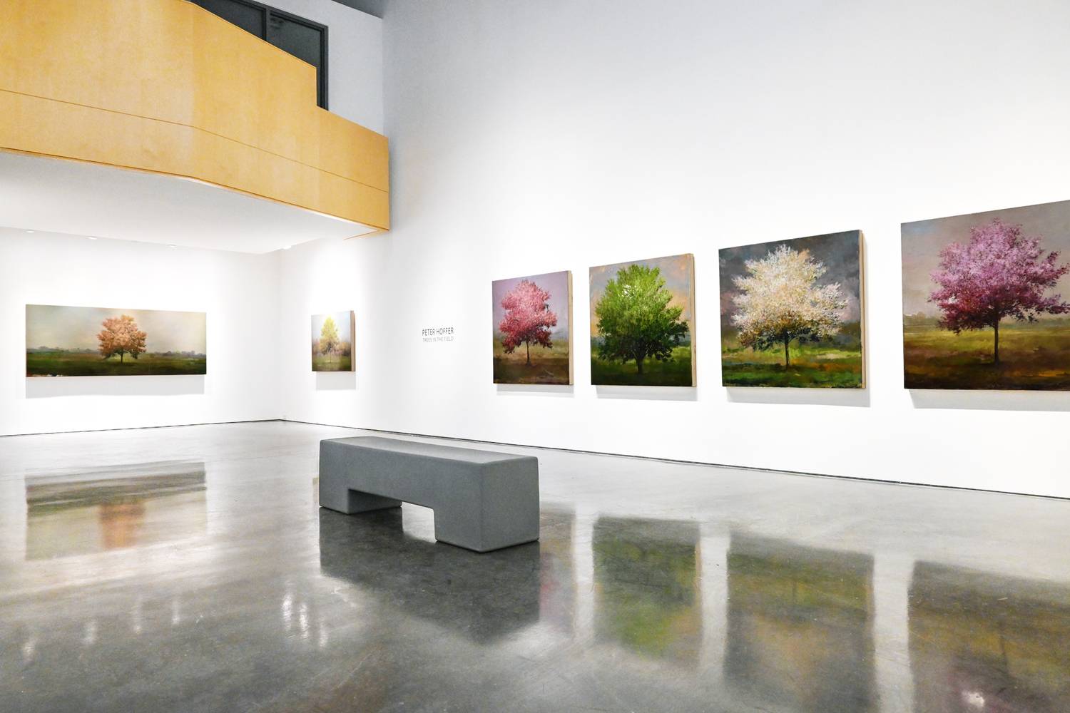 Peter Hoffer | "Trees In The Field" 2025 5