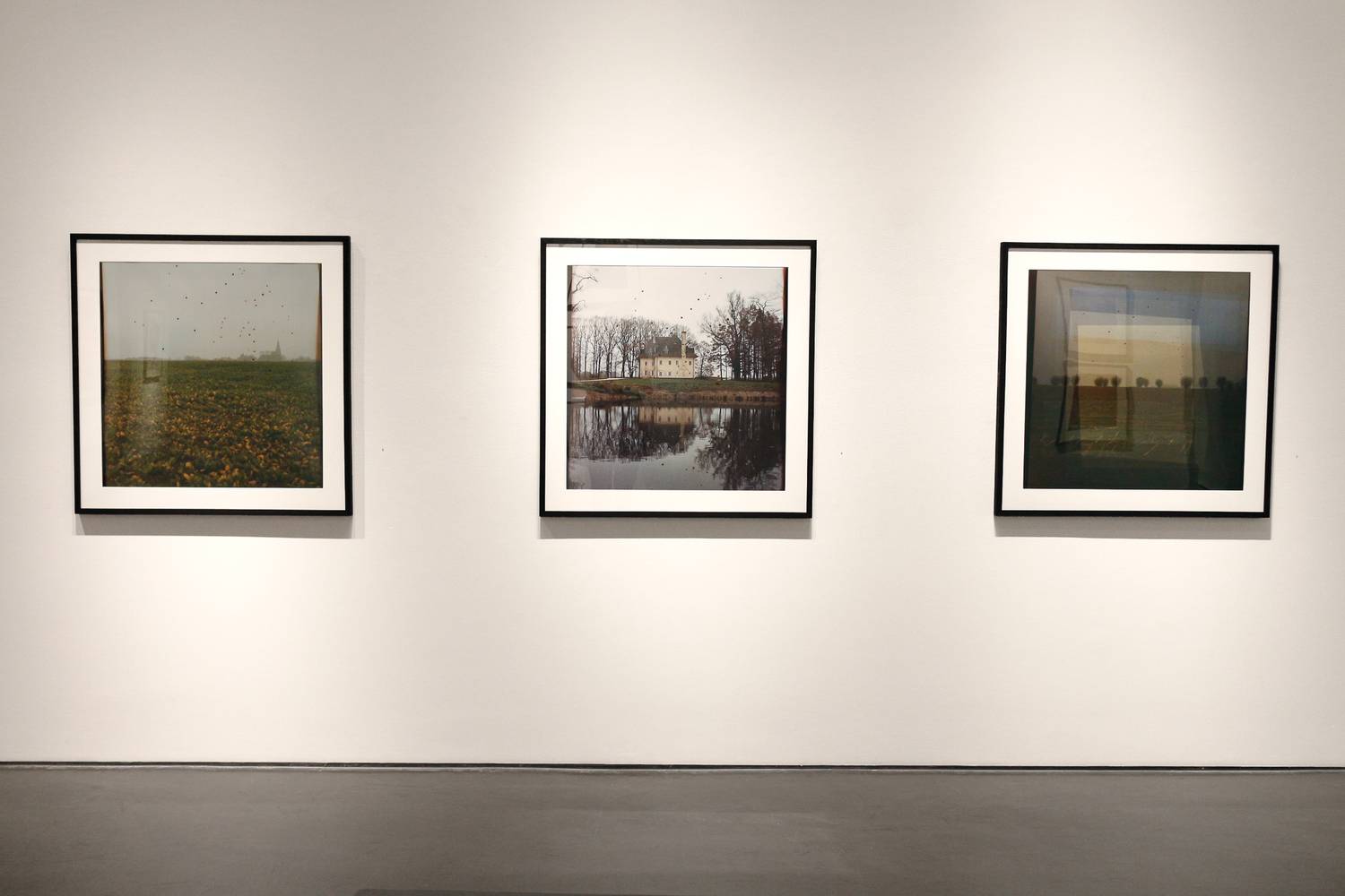 Dianne Bos - "The Sleeping Green, No Man's Land 100 Years Later" - 2017 2