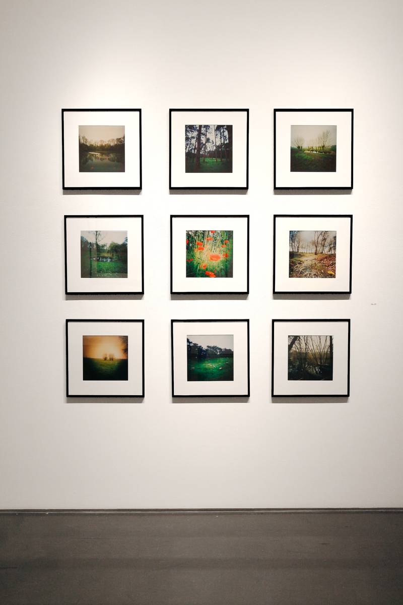 Dianne Bos - "The Sleeping Green, No Man's Land 100 Years Later" - 2017 3