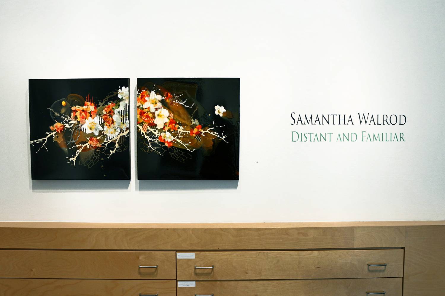 Samantha Walrod - "Distant and Familiar" - 2016 4