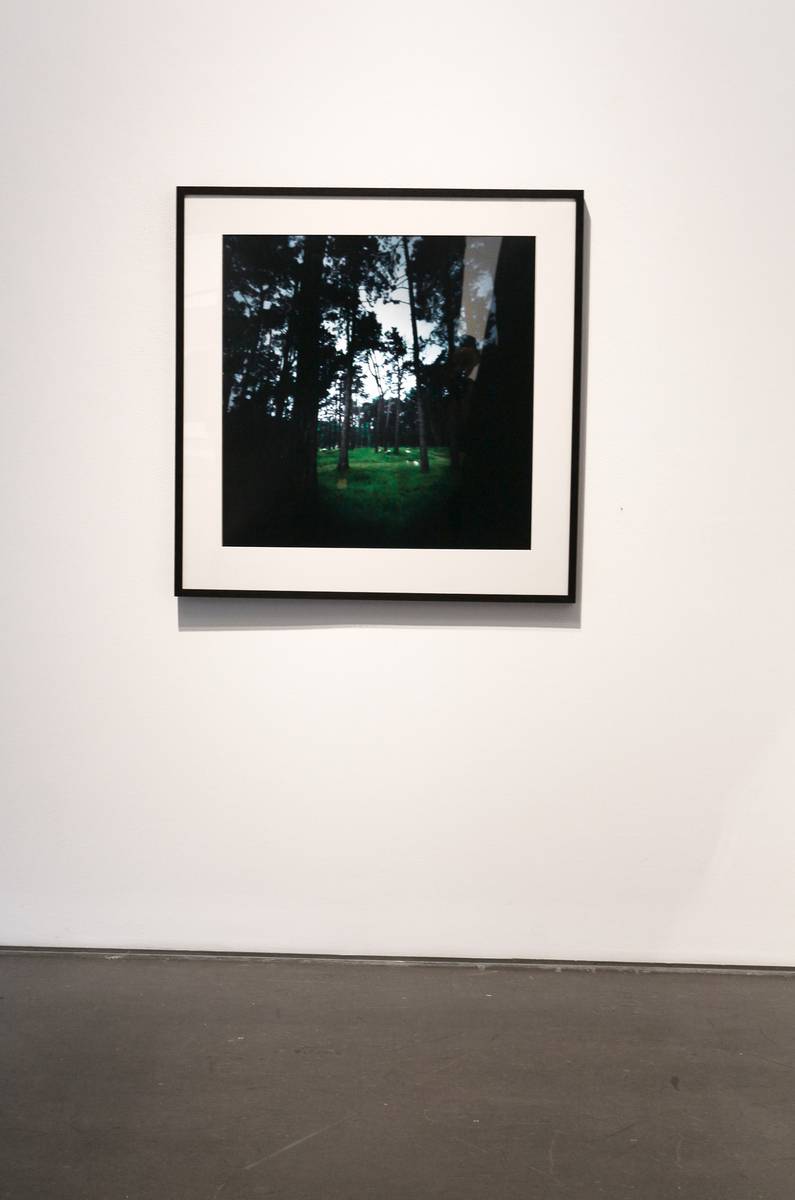 Dianne Bos - "The Sleeping Green" - 2015 4