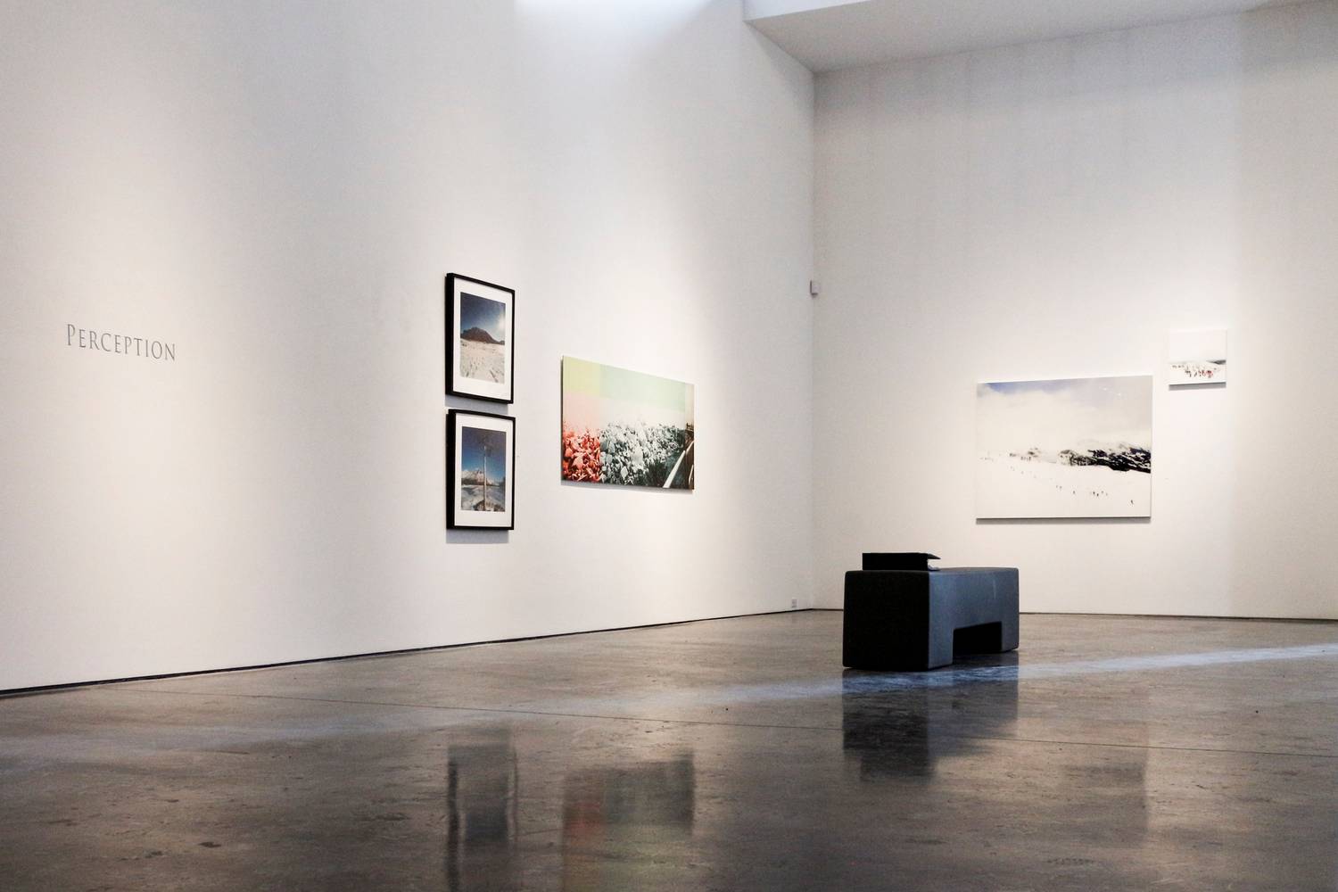 "Perception" - Group Exhibition - 2015 5