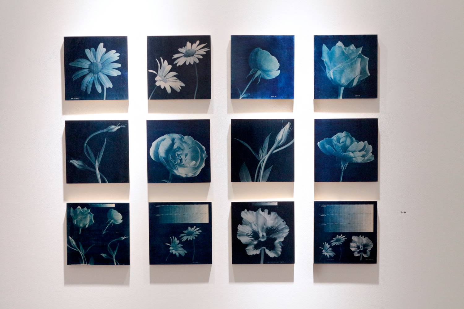 "Perception" - Group Exhibition - 2014 2