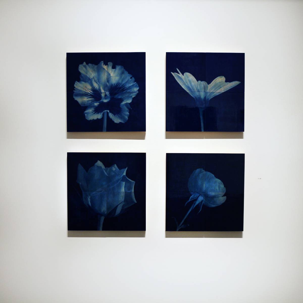 James Holroyd "Flora" - 2013 6