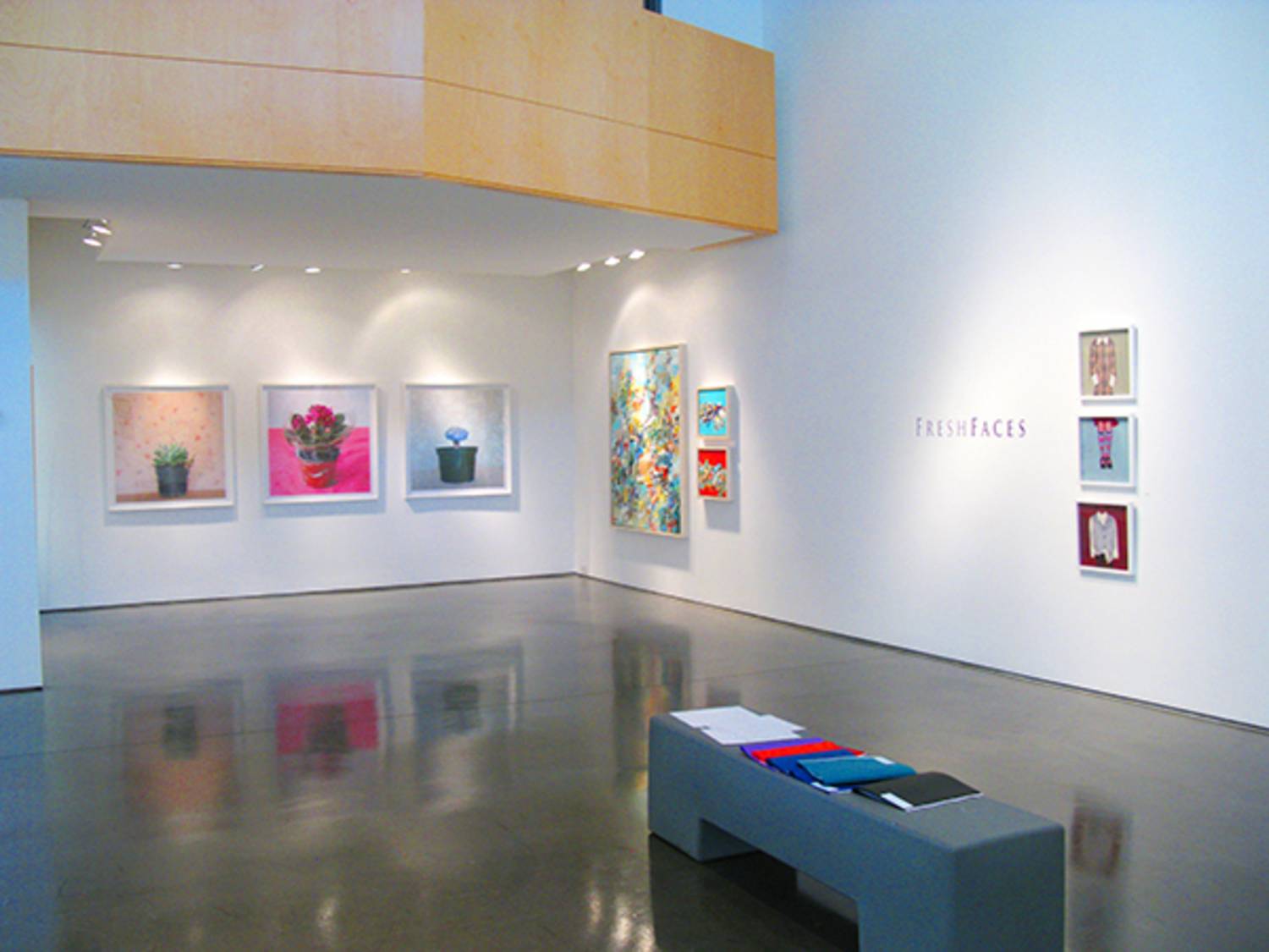 "Fresh Faces" - Group Exhibition - 2012 3