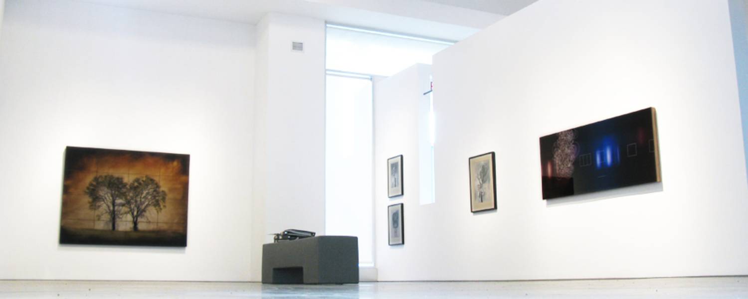 "Perception" - Group Exhibition - 2011 1