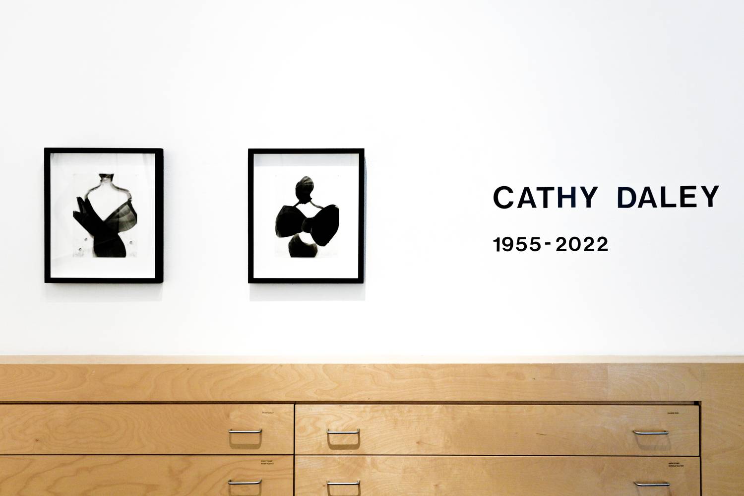 Cathy Daley | In Memory: 1955-2022 1