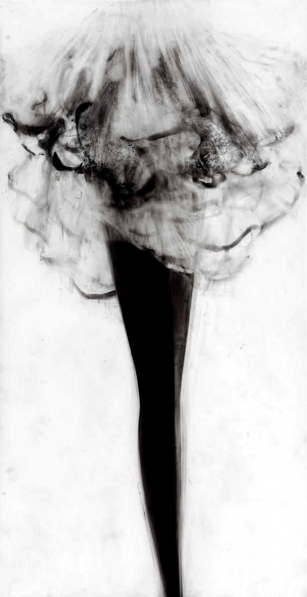UNTITLED 882, 2013, image 2