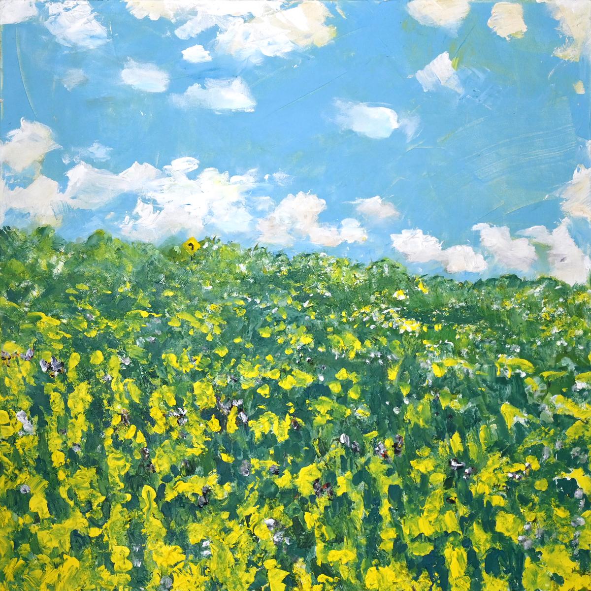 Sunfield 19 AC-19-010, 2019