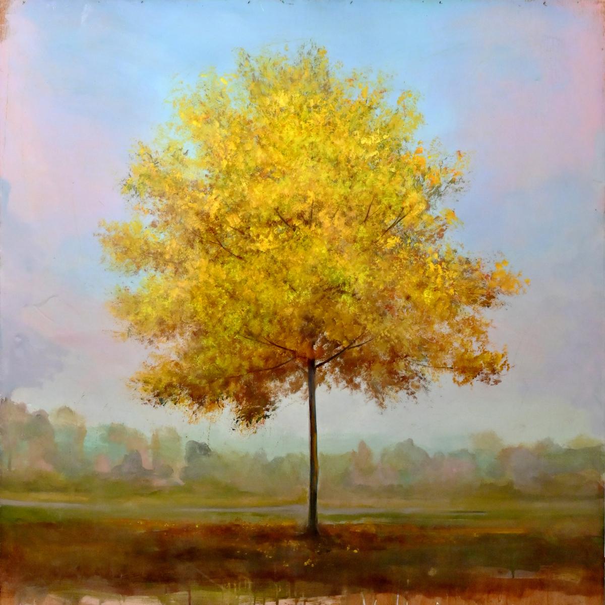 Yellow Maple, 2023