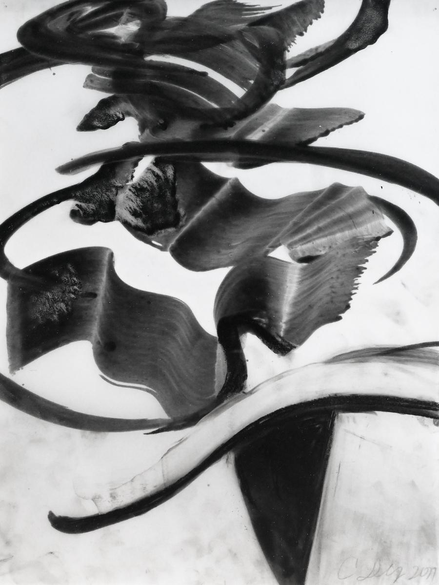 Untitled (PD476), 2017, image 2