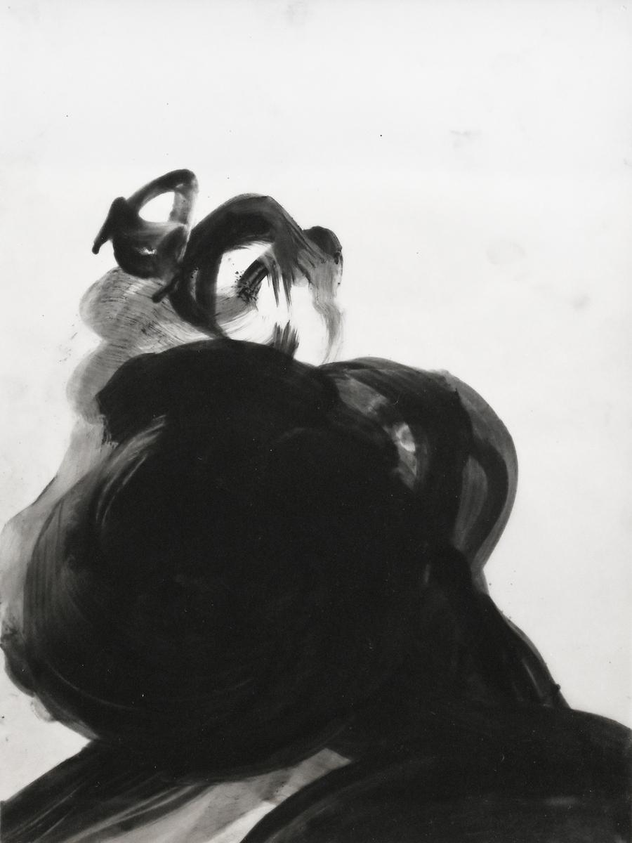 Untitled (PD480), 2017, image 2