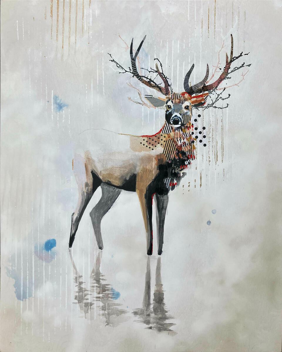 Mule Deer - West, 2024