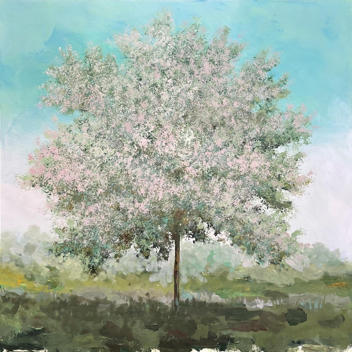 Engler Beech, 2024
