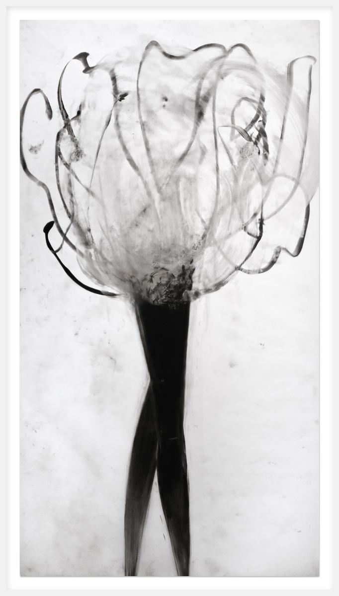 Untitled (DALEPD611), 2018, image 2