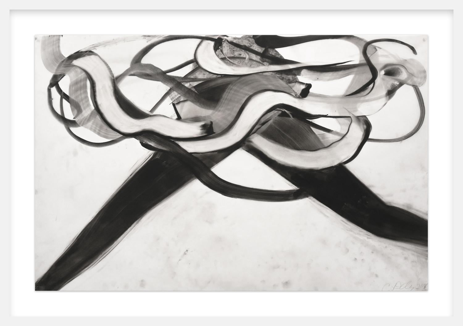 Untitled (DALEPD615), 2018, image 2