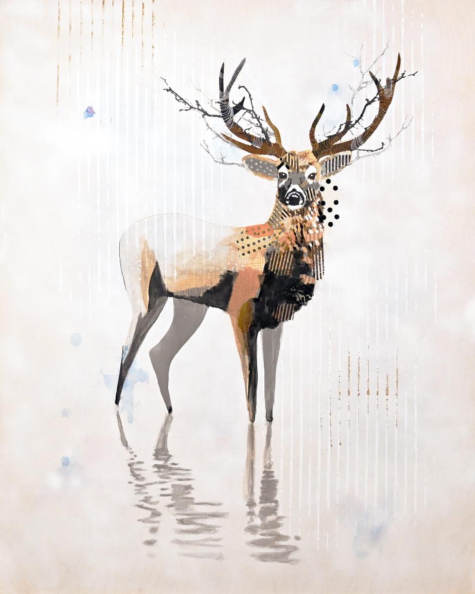 WHITE MULE DEER - WEST 4, 2024