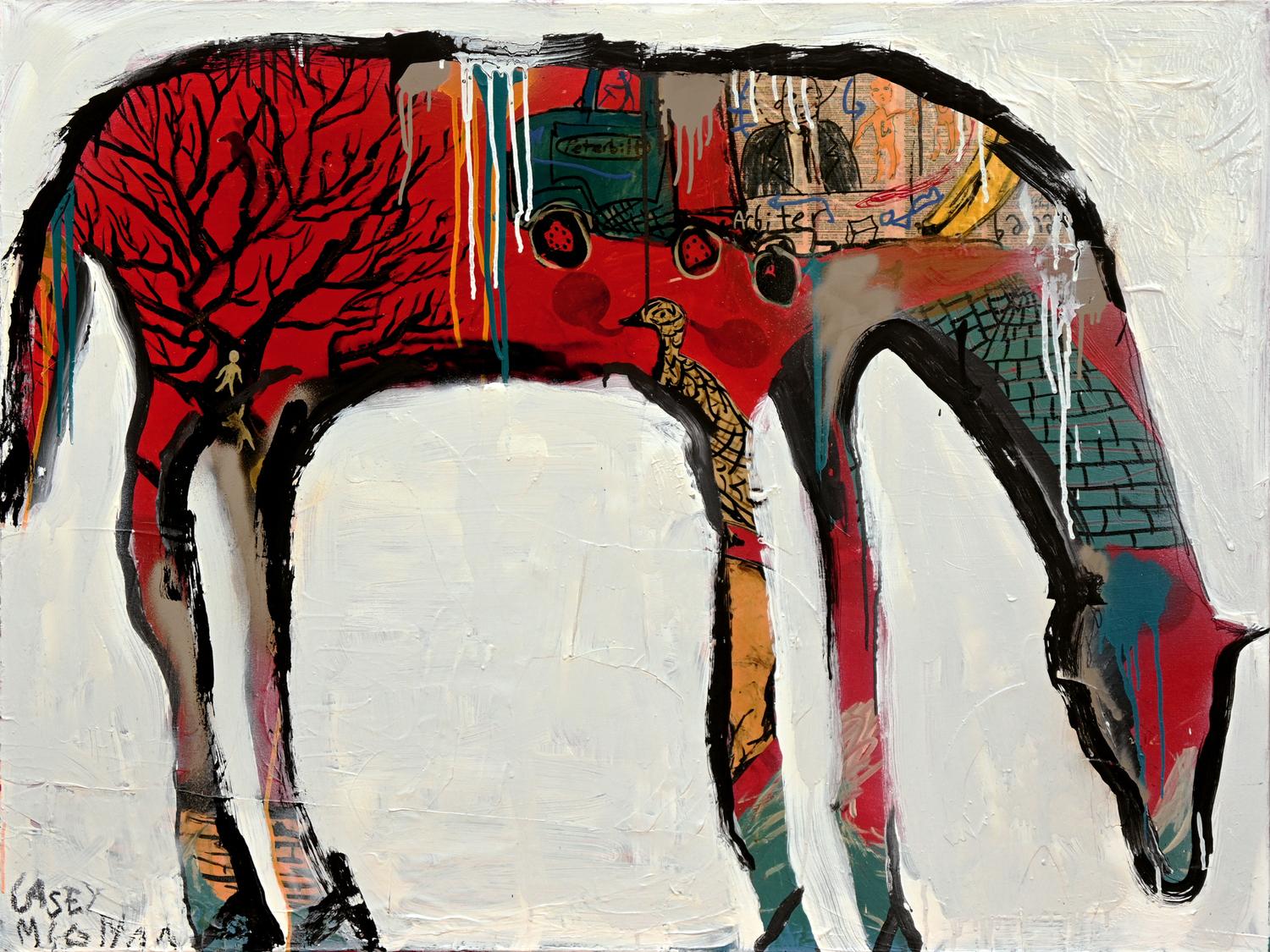 Foal, 2025