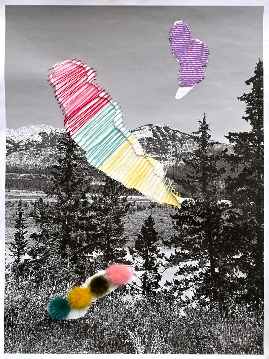 Jasper National Park, 2026, image 2
