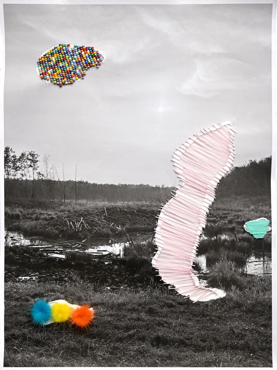 Elk Island National Park, 2026, image 2
