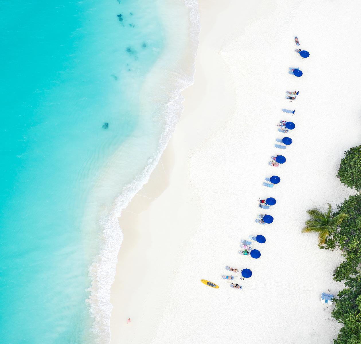 Take Me There, 2018
