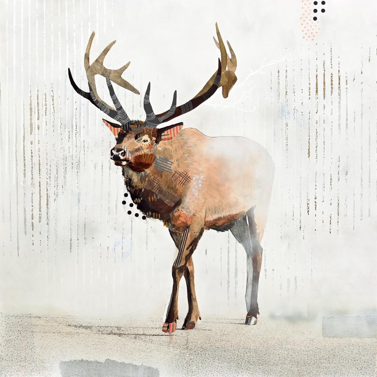 Elk Road - White, 2026