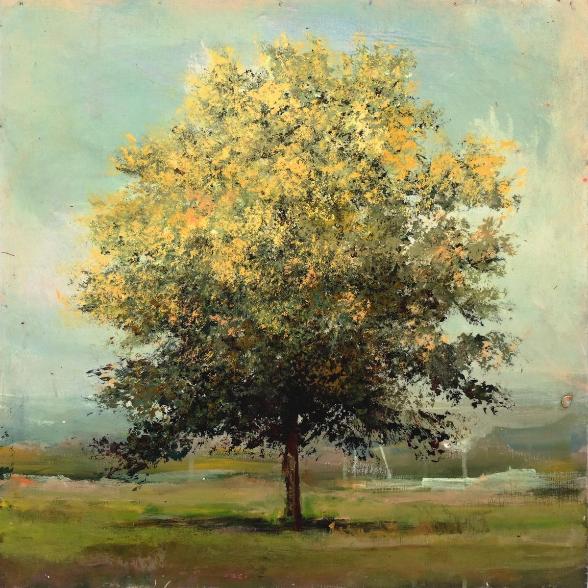 Lowlands Elm, 2026