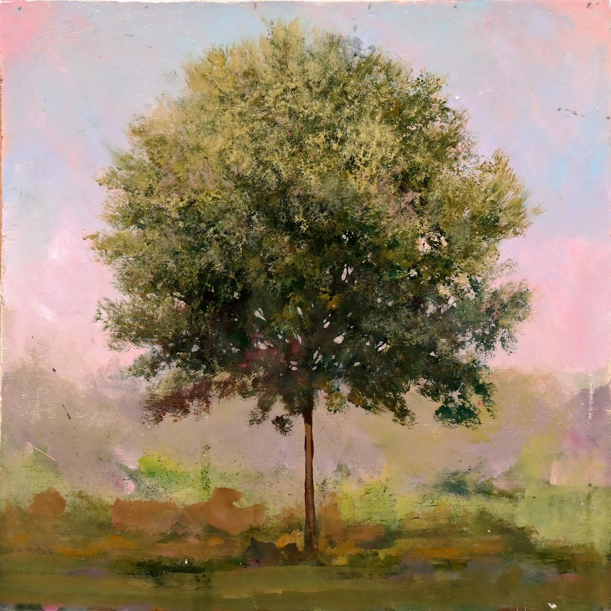 Stratford Maple, 2026