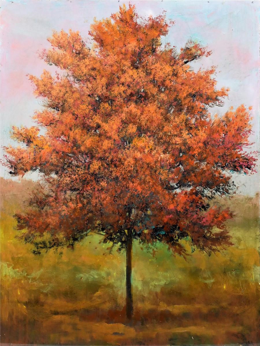 Westchester Oak, 2026