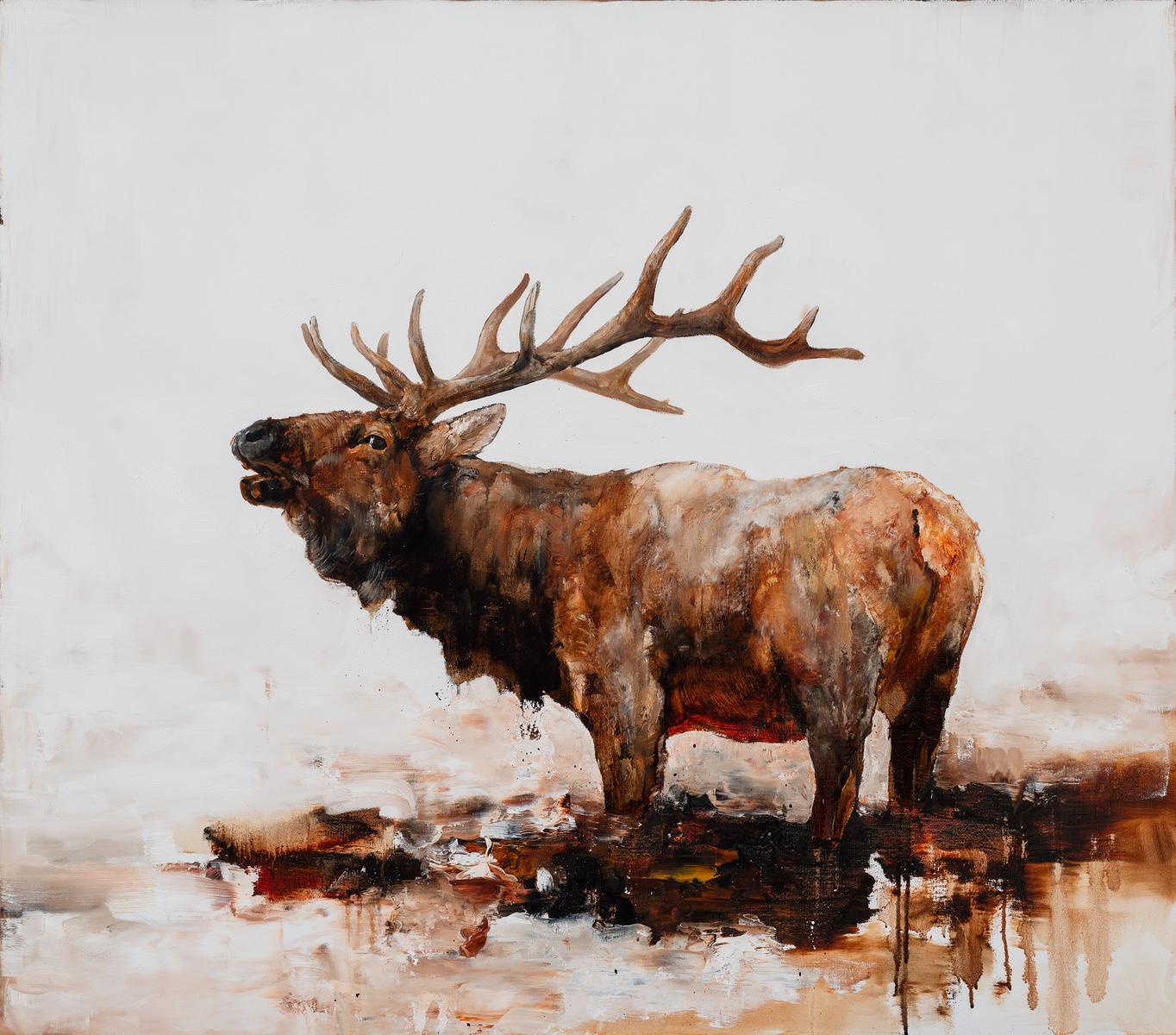 THREE MILE BARK, 2018