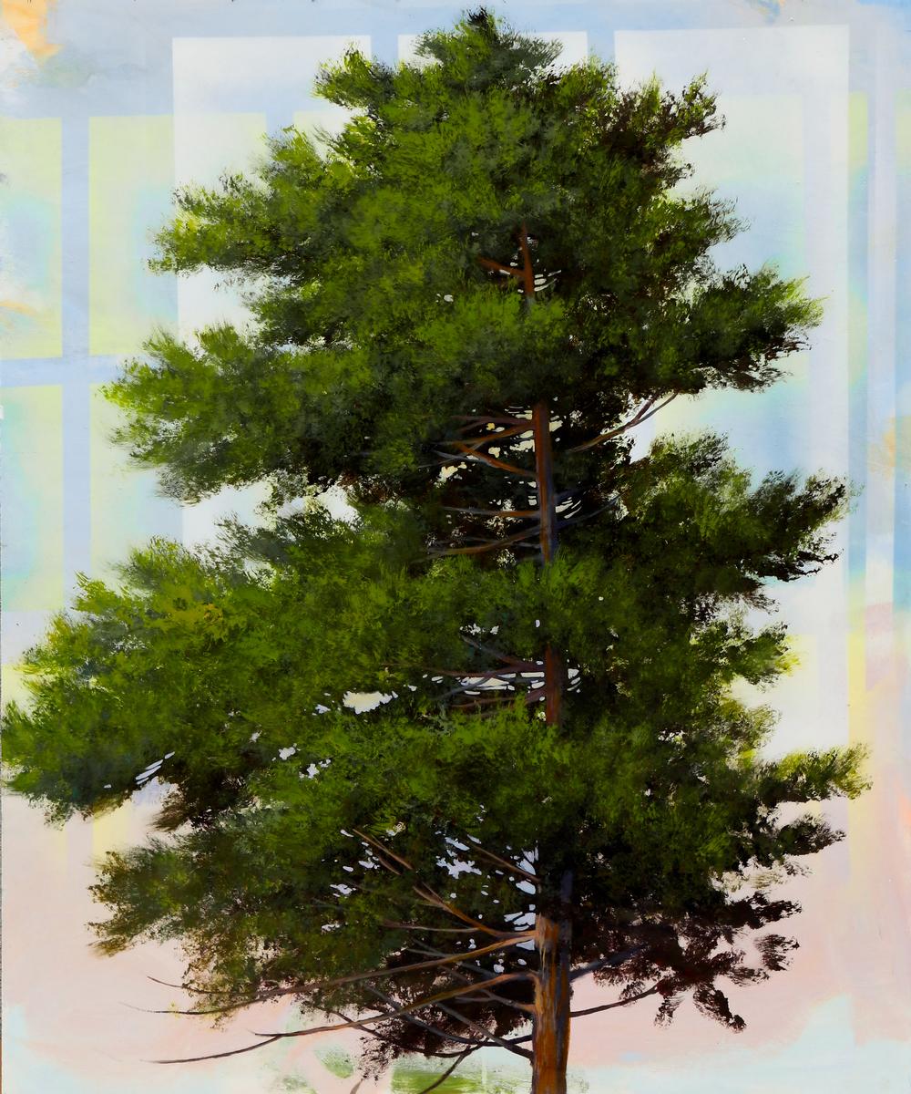 PROFILE, 2016