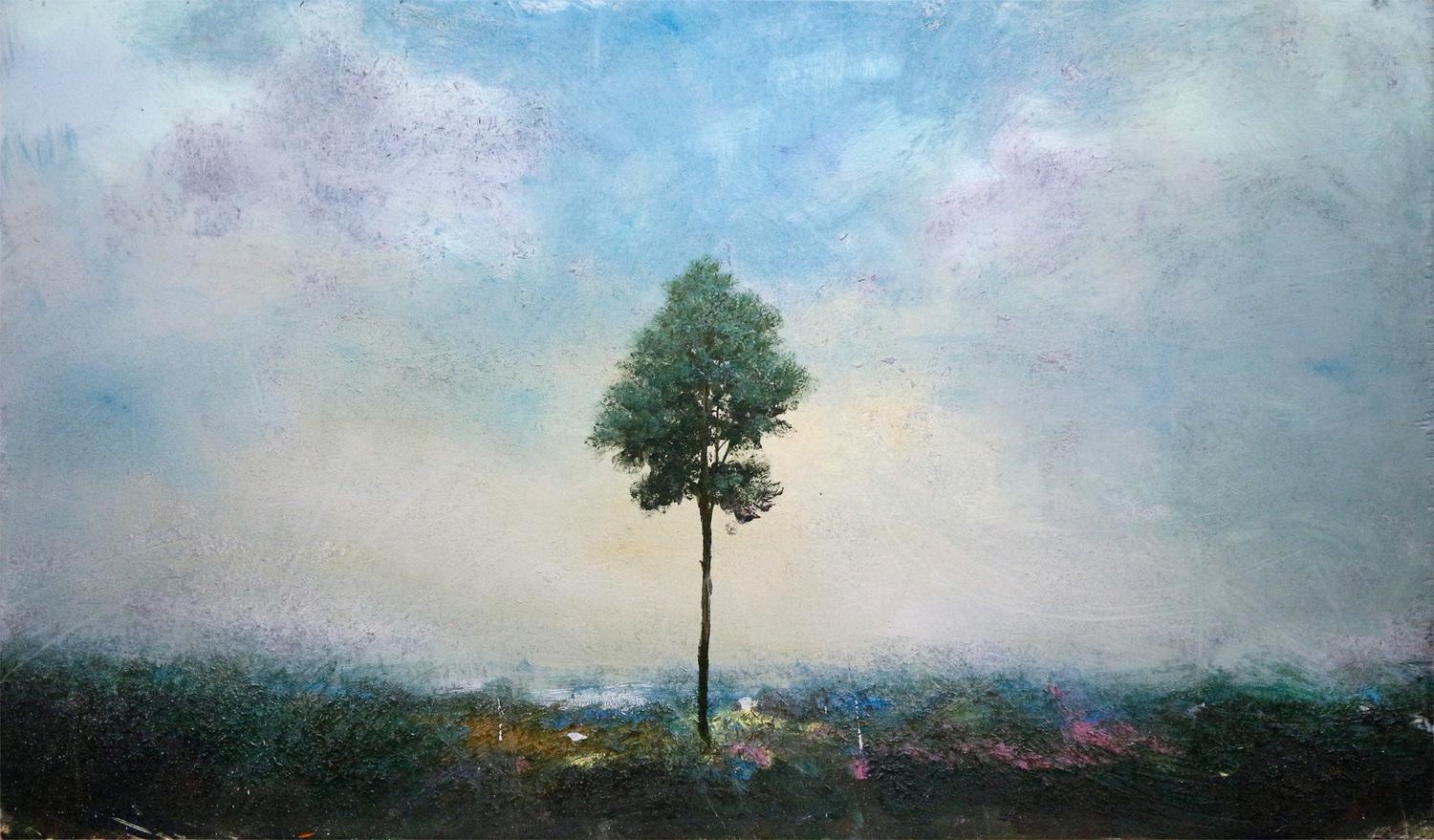CEDAR, 2019