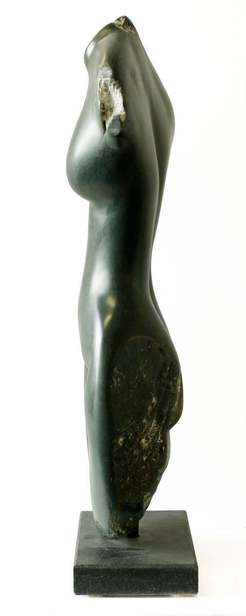 RANA #1322, 2012, image 2